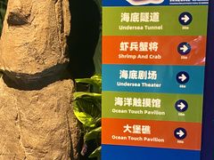 -重庆欢乐海底世界