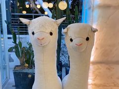 -BeauTea水仙(coco park店)