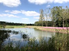 -溱湖国家湿地公园