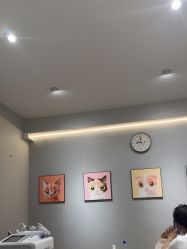 -洗脸猫·洗脸吧