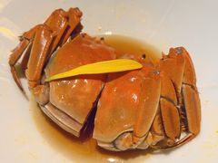 醉熟蟹-人和馆·上海菜(肇嘉浜路店)