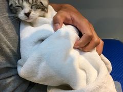 -PETKIT 小佩宠物·低压洗护·美容·寄养(安远店)