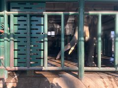 -秦皇岛野生动物园