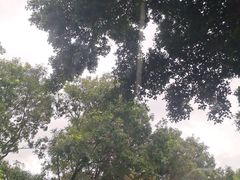 -人民公园(罗湖区)