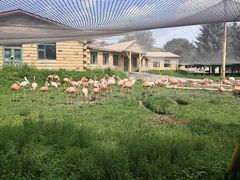 -哈尔滨北方森林动物园