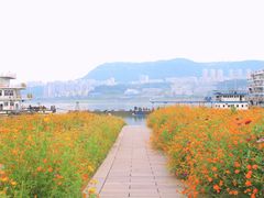 -万达广场(万州店)