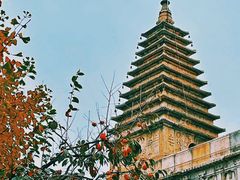 -北京石刻艺术博物馆(五塔寺)