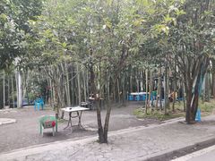 -缙云山景区