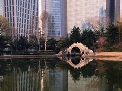 -团结湖公园