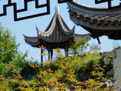-芥子园