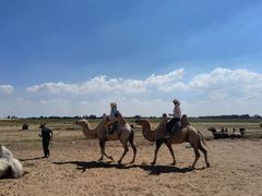 -亿利库布其七星湖沙漠生态旅游区