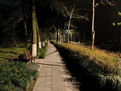 -杭州植物园