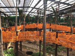 -呀路古热带植物园