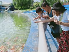 -北戴河圣蓝海洋公园