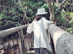 -呀诺达热带雨林