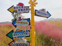 -尹家峪田园综合体