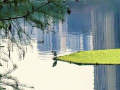-重庆彩云湖湿地公园