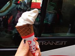 -富豪雪糕车流动点(尖沙咀店)