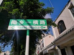 -东郊椰林