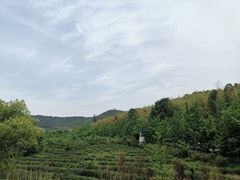 -旺山·浪头人家