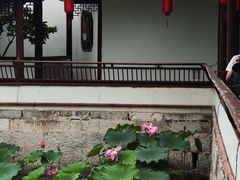 -上海醉白池公园
