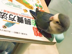 -雨林宠物医院 非犬猫异宠专科