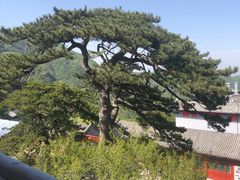 -妙峰山风景名胜区