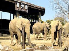 -上海野生动物园