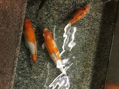 -月光园游月山庄
