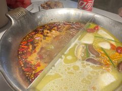 -九鼎轩脆毛肚火锅(三钢里店)