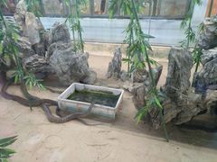 -荔城生鲜盛宴(番禺旗舰店)