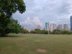-万绿园