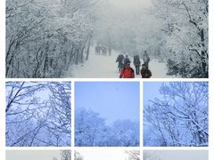 -安吉龙王山峡谷漂流
