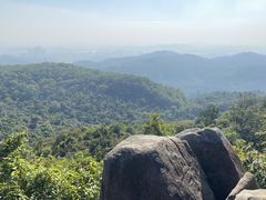 -东莞市大岭山森林公园