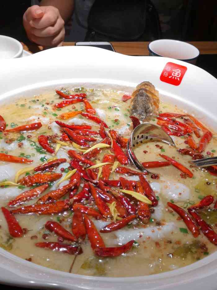 鱼格格酸菜鱼(文华里店)-"这家店已经换过几手了,现在是做酸菜鱼和炭.