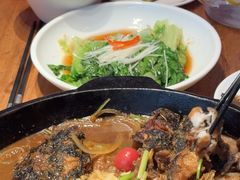 -老板恋上鱼(恒隆广场店)