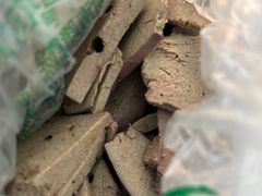 -洪记白水羊头(天坛店)