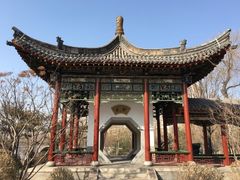 -迎泽公园