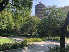 -玲珑塔公园