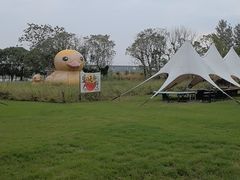 -动邦皮划艇·桨板·独木舟·团建户外运动俱乐部