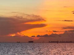 -宝安西湾红树林湿地公园