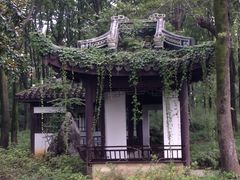 -玉女潭景区
