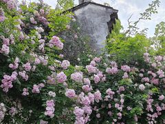 -惠山古镇·寄畅园