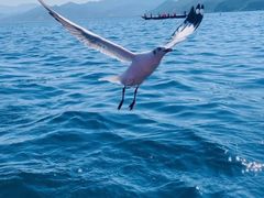 -丽江泸沽湖景区