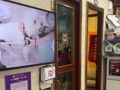 -宠爱国际动物医院· 猫科· 外科·中兽医(长白店)