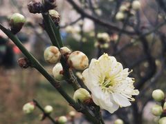 -山东大学(趵突泉校区)