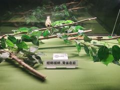 -天津自然博物馆