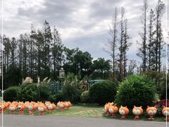 -上海长兴岛郊野公园