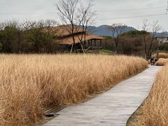 -良渚古城遗址公园