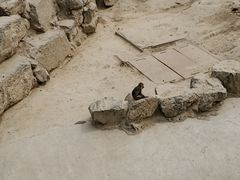 -太原动物园